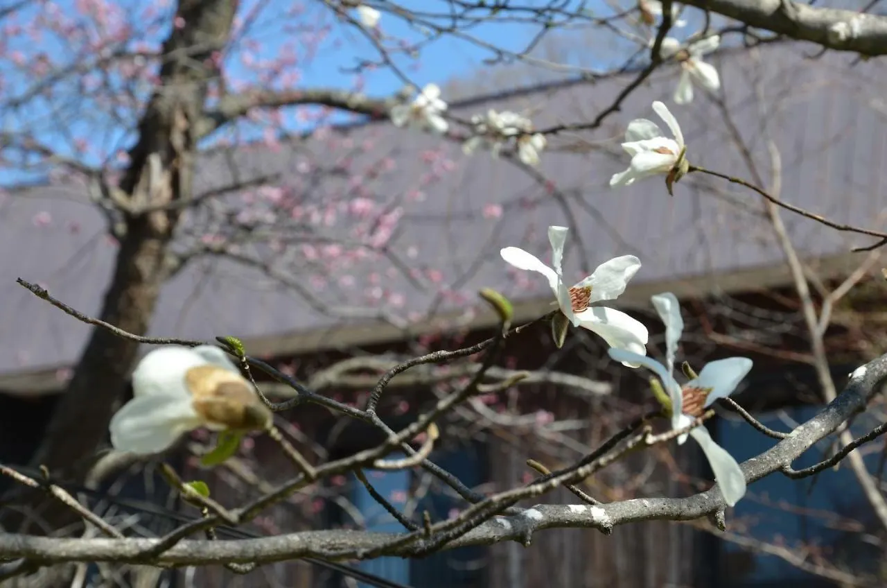 Locanda Artinn 極寒藝術伝染装置 Teshikaga