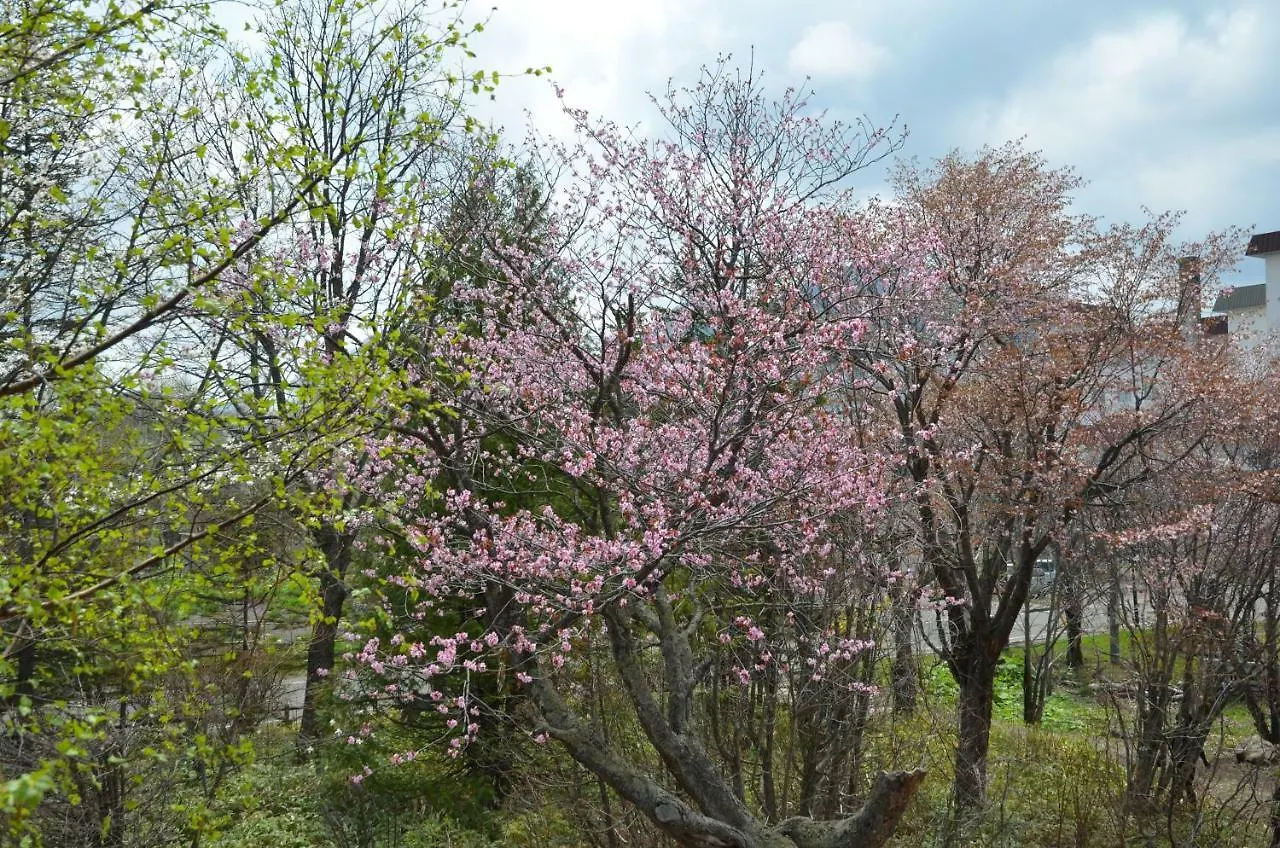 Artinn 極寒藝術伝染装置 Teshikaga Inn